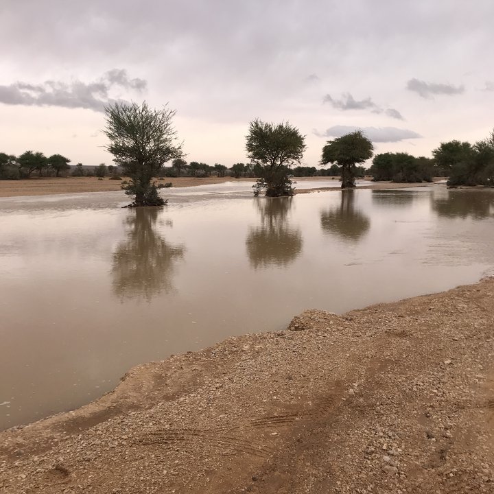 My Crowdsourcing Posts