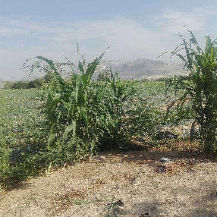 My Crowdsourcing Posts