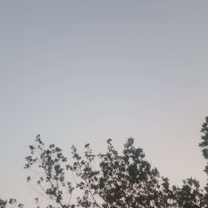 My Crowdsourcing Posts