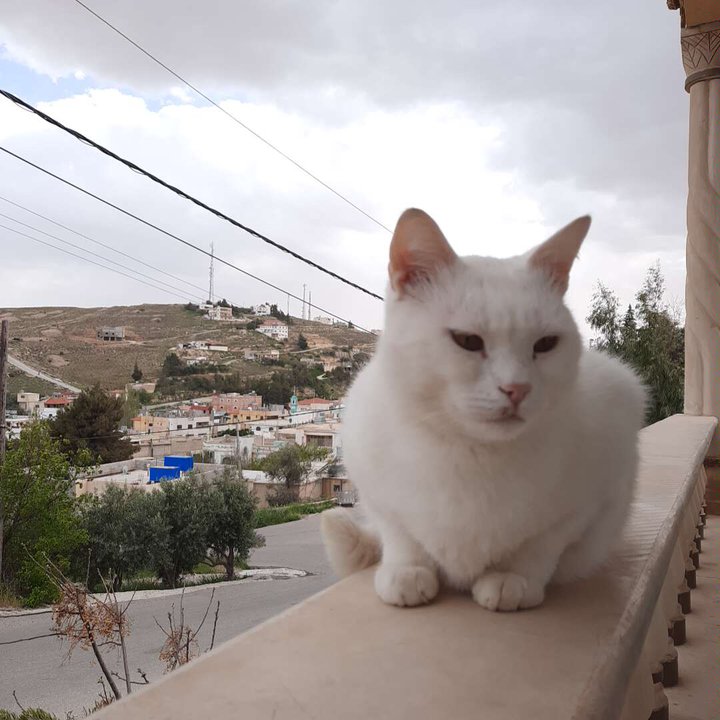 Mes publications Crowdsourcing