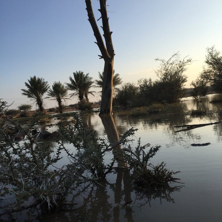 My Crowdsourcing Posts