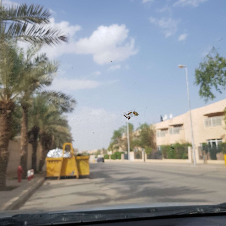 My Crowdsourcing Posts