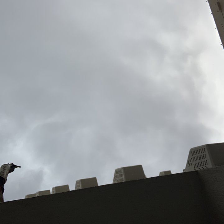 My Crowdsourcing Posts