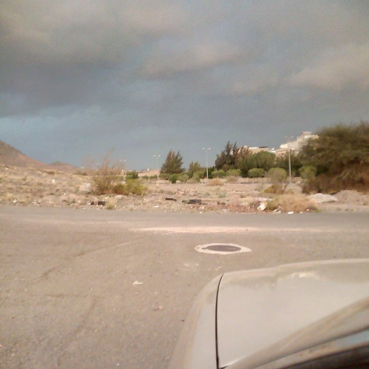 مشاركاتي في أنت الراصد