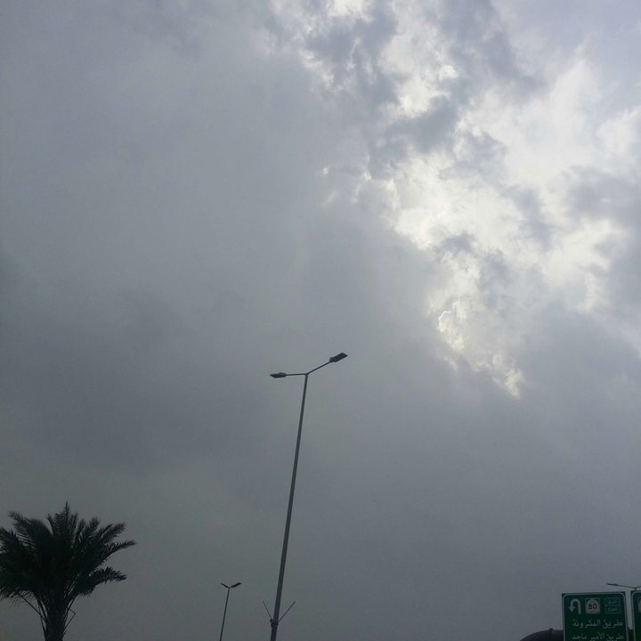 مشاركاتي في أنت الراصد