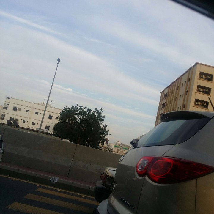 مشاركاتي في أنت الراصد