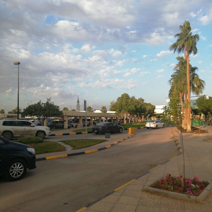 مشاركاتي في أنت الراصد