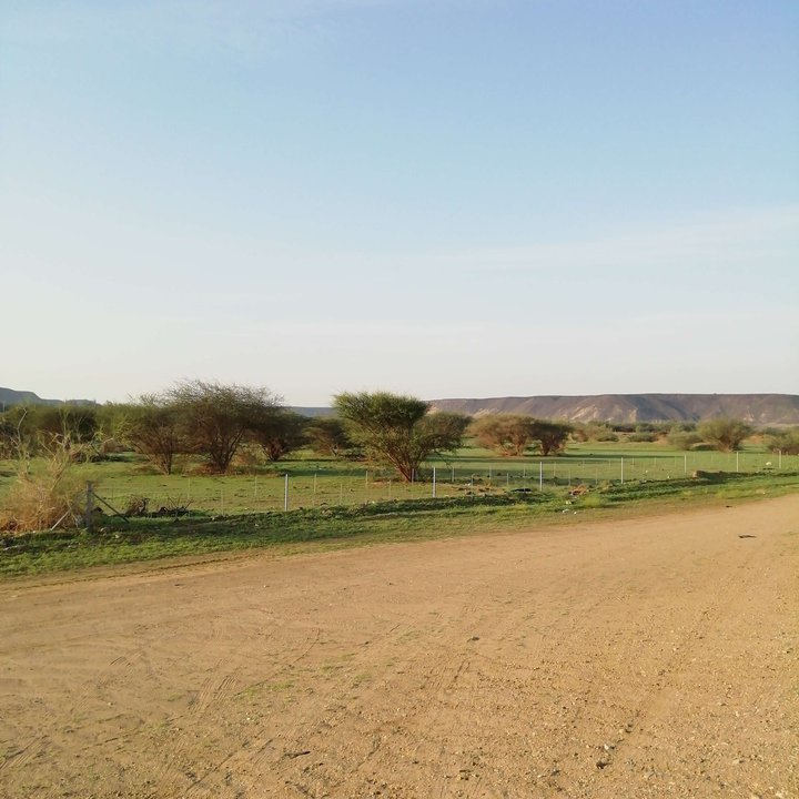 مشاركاتي في أنت الراصد