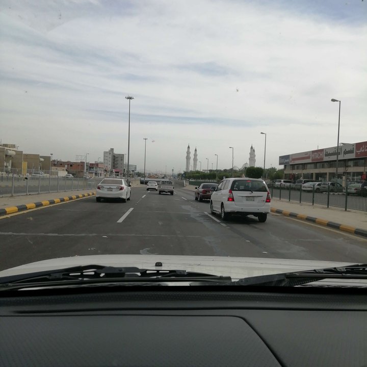 مشاركاتي في أنت الراصد