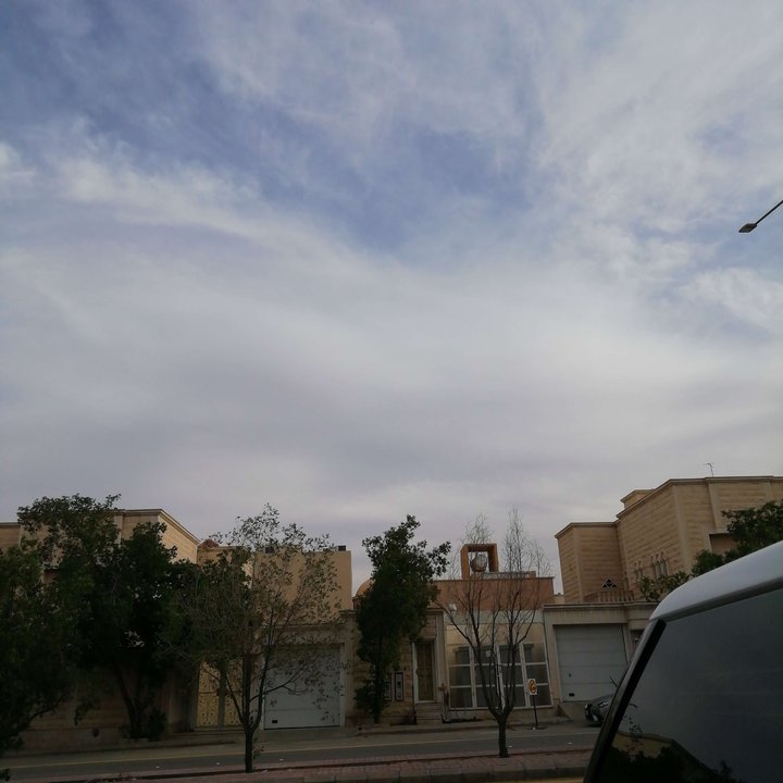 مشاركاتي في أنت الراصد