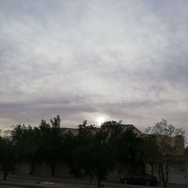 مشاركاتي في أنت الراصد