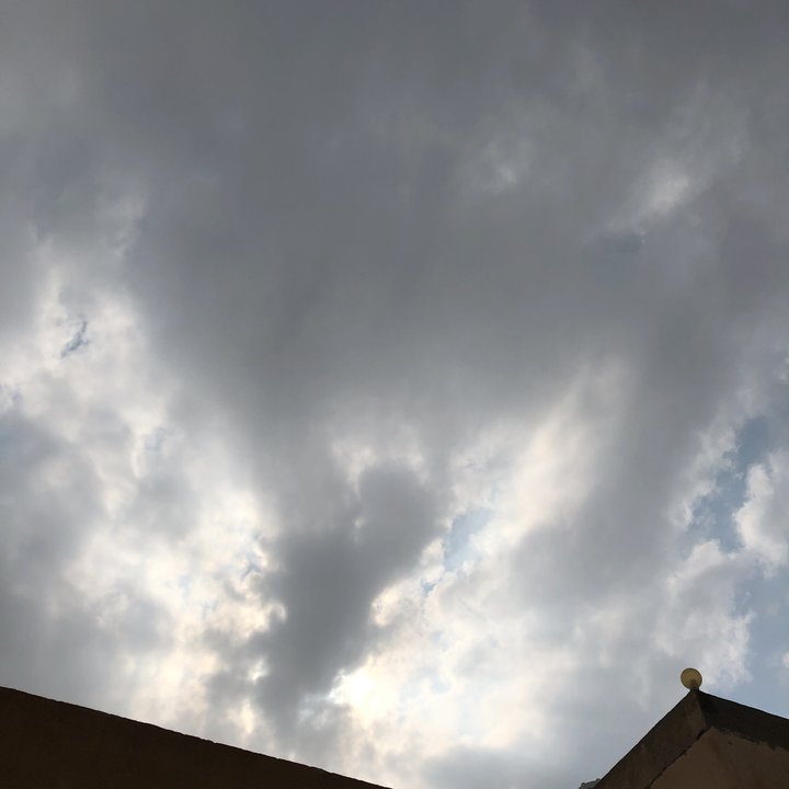 مشاركاتي في أنت الراصد