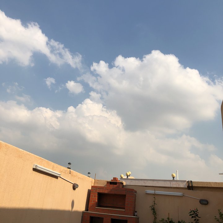 مشاركاتي في أنت الراصد