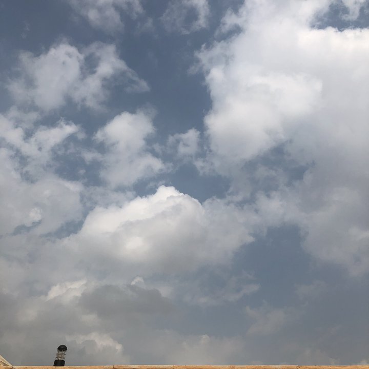 مشاركاتي في أنت الراصد