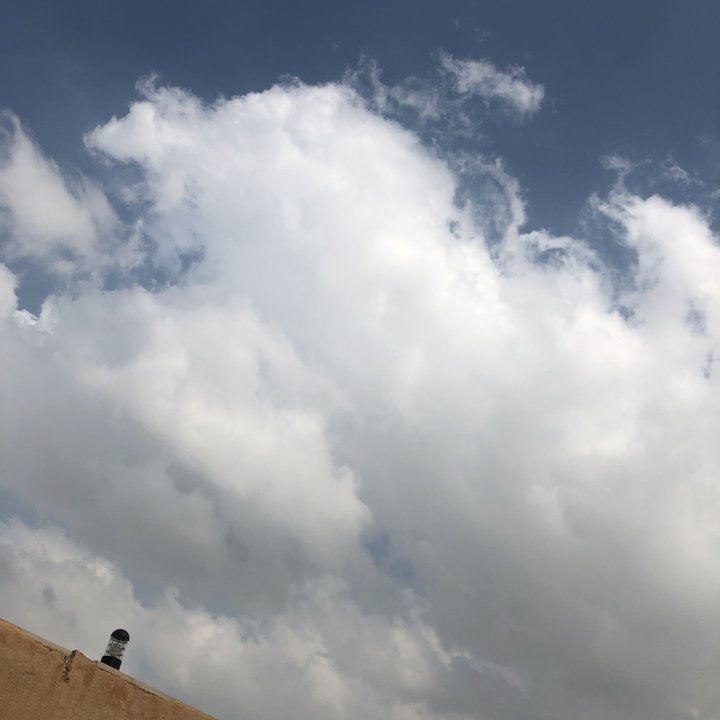 مشاركاتي في أنت الراصد