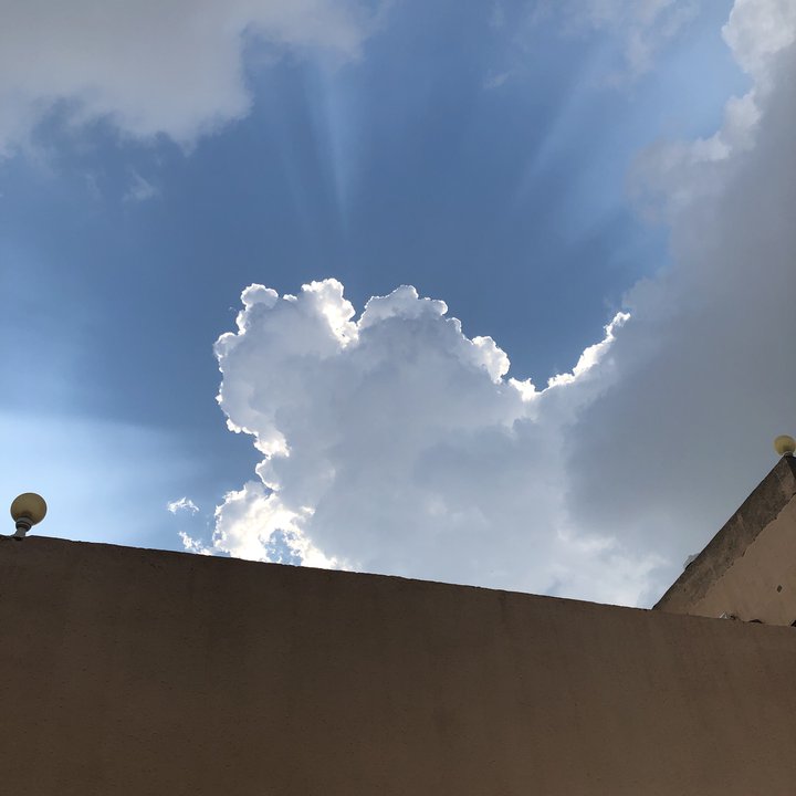 مشاركاتي في أنت الراصد