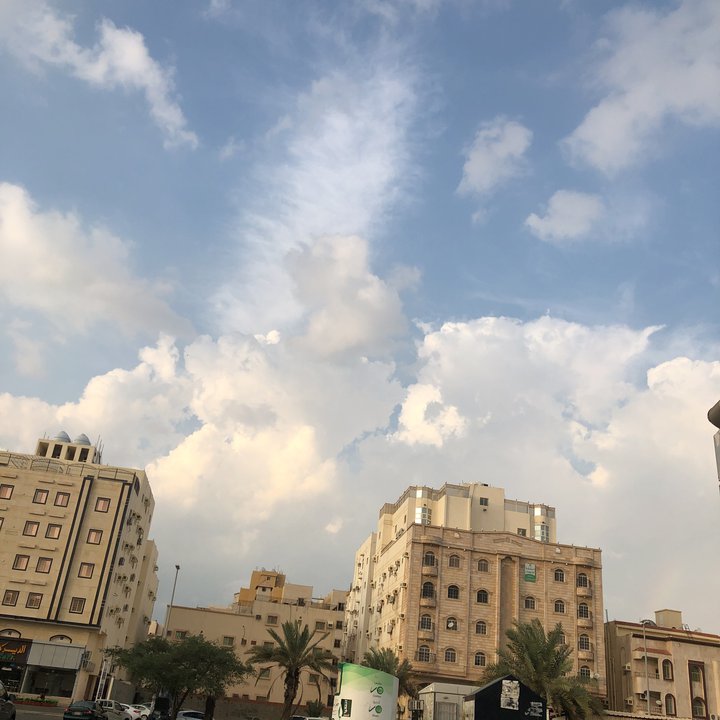 مشاركاتي في أنت الراصد