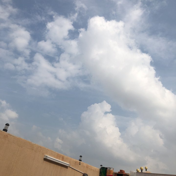 مشاركاتي في أنت الراصد