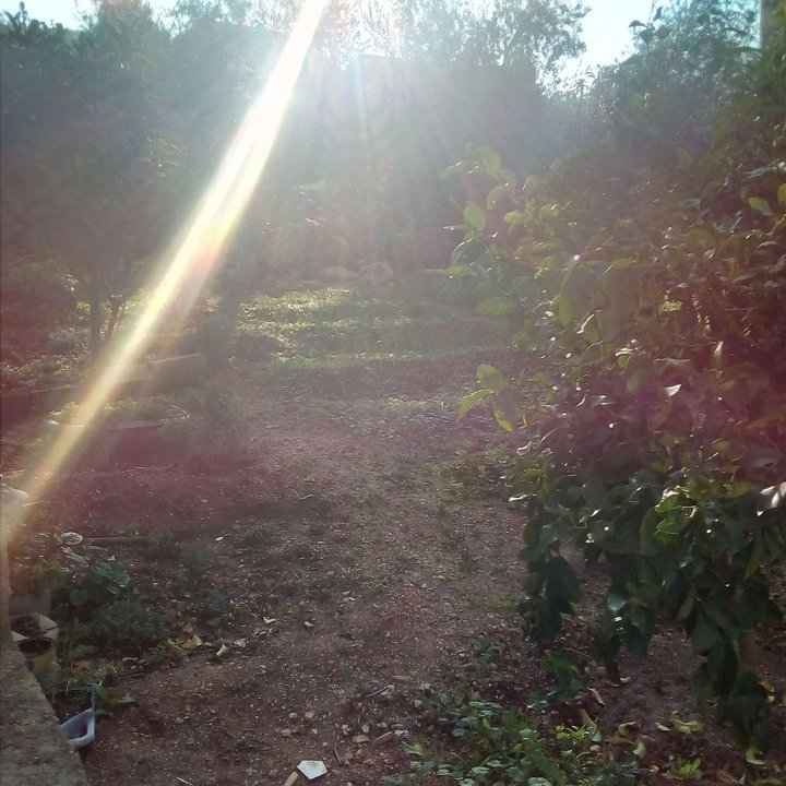 My Crowdsourcing Posts