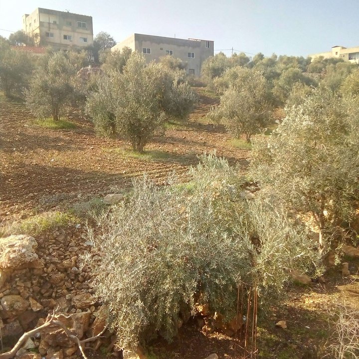 My Crowdsourcing Posts