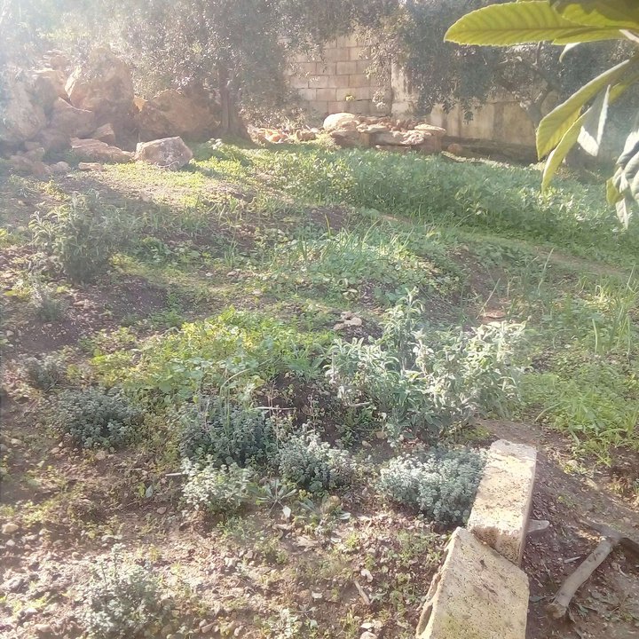 My Crowdsourcing Posts