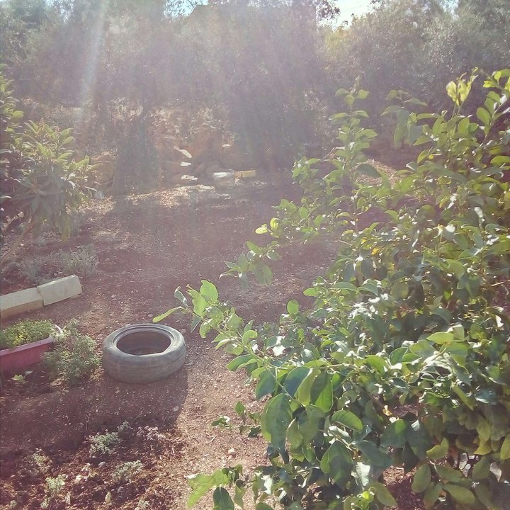 My Crowdsourcing Posts