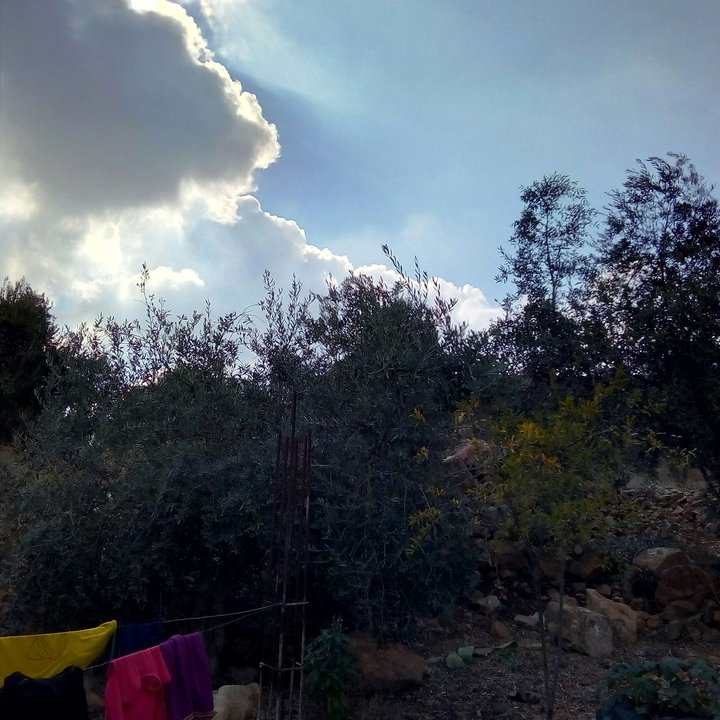 My Crowdsourcing Posts