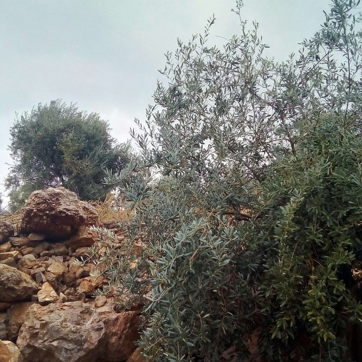 My Crowdsourcing Posts