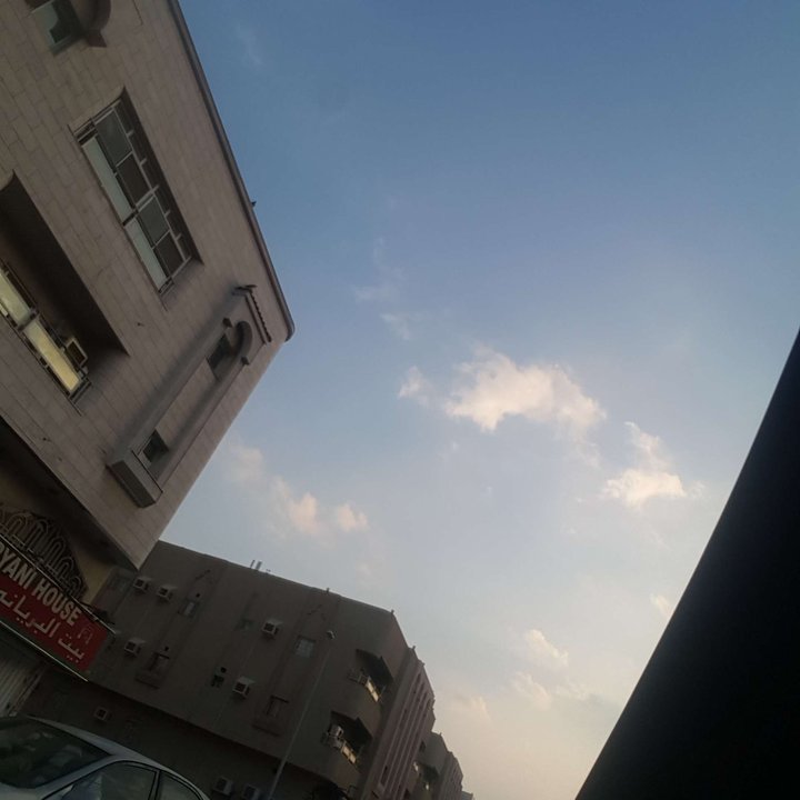 مشاركاتي في أنت الراصد