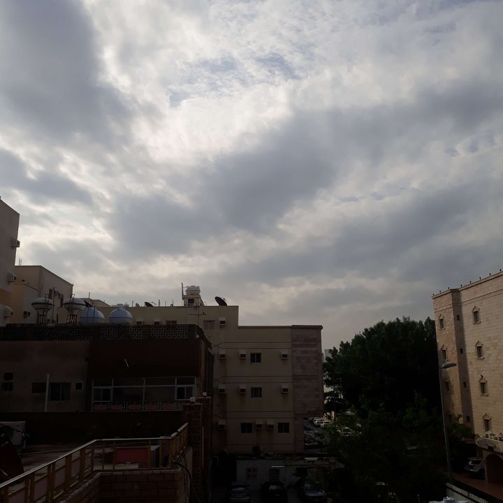 مشاركاتي في أنت الراصد