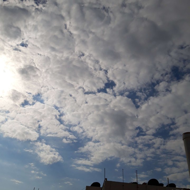 مشاركاتي في أنت الراصد