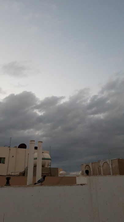 مشاركاتي في أنت الراصد