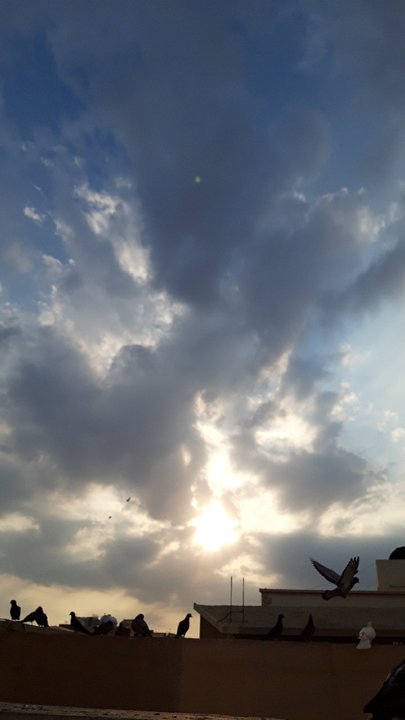 مشاركاتي في أنت الراصد