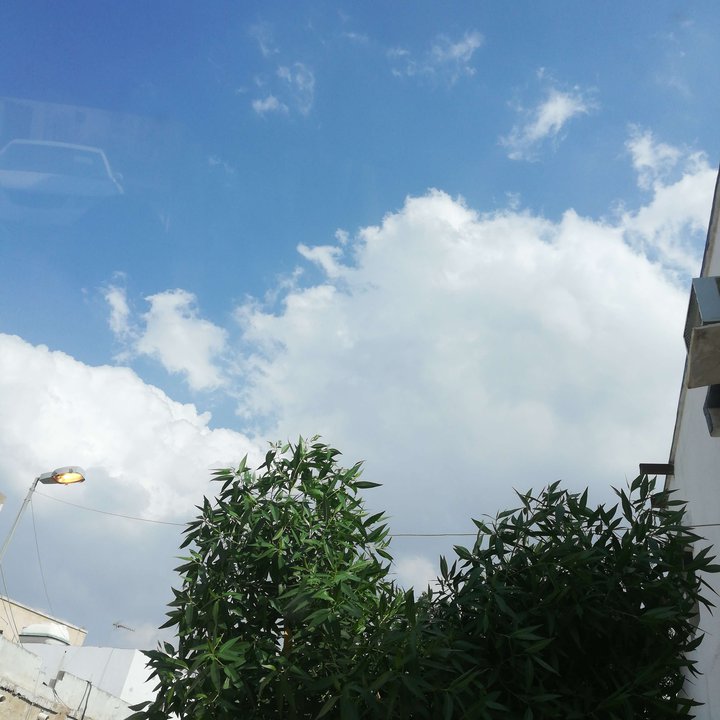 مشاركاتي في أنت الراصد