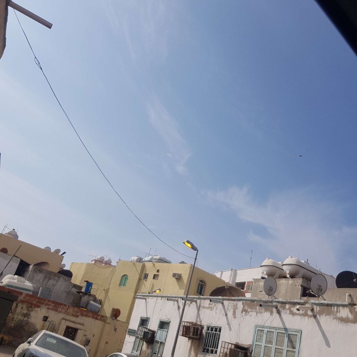 مشاركاتي في أنت الراصد