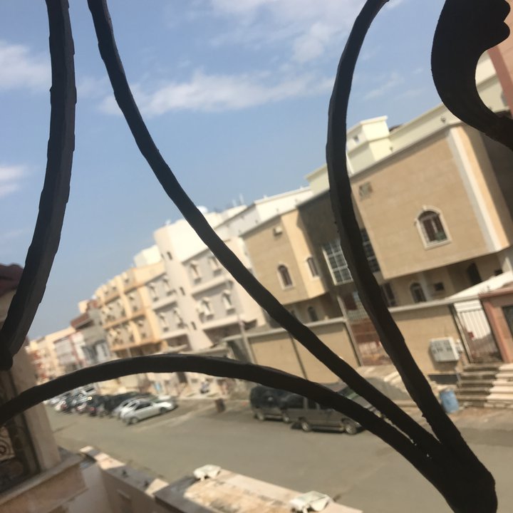 مشاركاتي في أنت الراصد