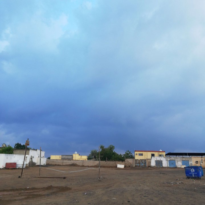 مشاركاتي في أنت الراصد