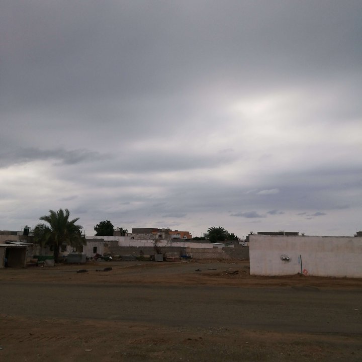 مشاركاتي في أنت الراصد