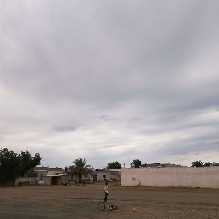 مشاركاتي في أنت الراصد