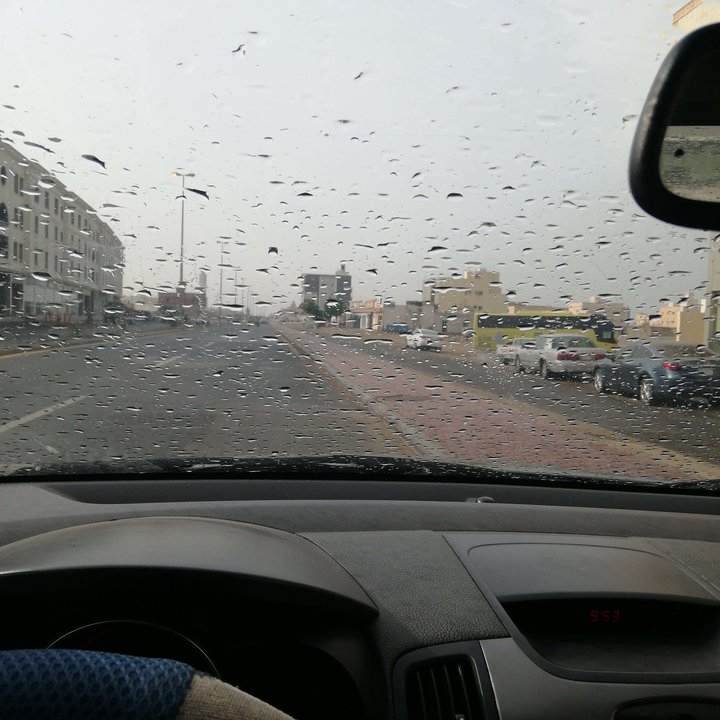 مشاركاتي في أنت الراصد