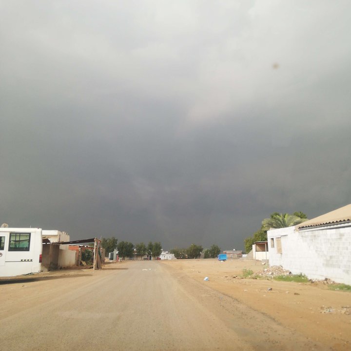 مشاركاتي في أنت الراصد