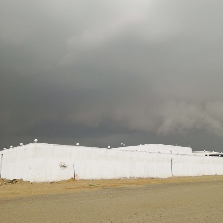 مشاركاتي في أنت الراصد