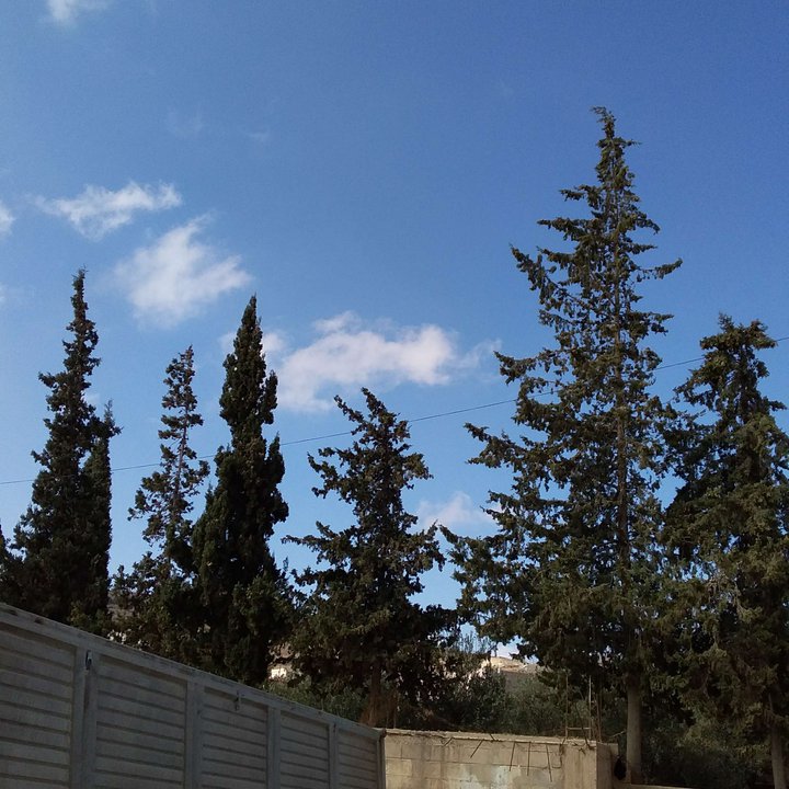 My Crowdsourcing Posts