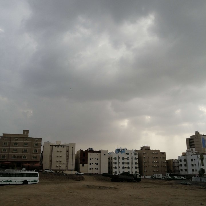 مشاركاتي في أنت الراصد