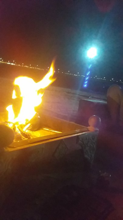 مشاركاتي في أنت الراصد