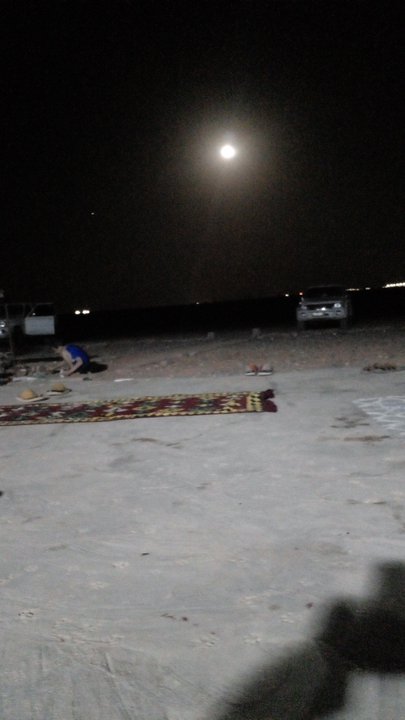 مشاركاتي في أنت الراصد