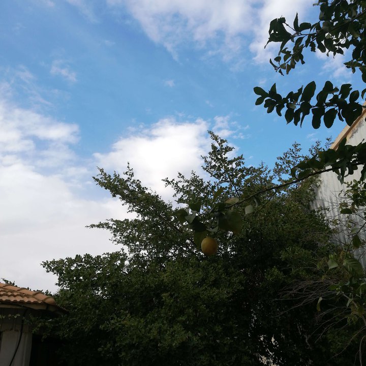 My Crowdsourcing Posts