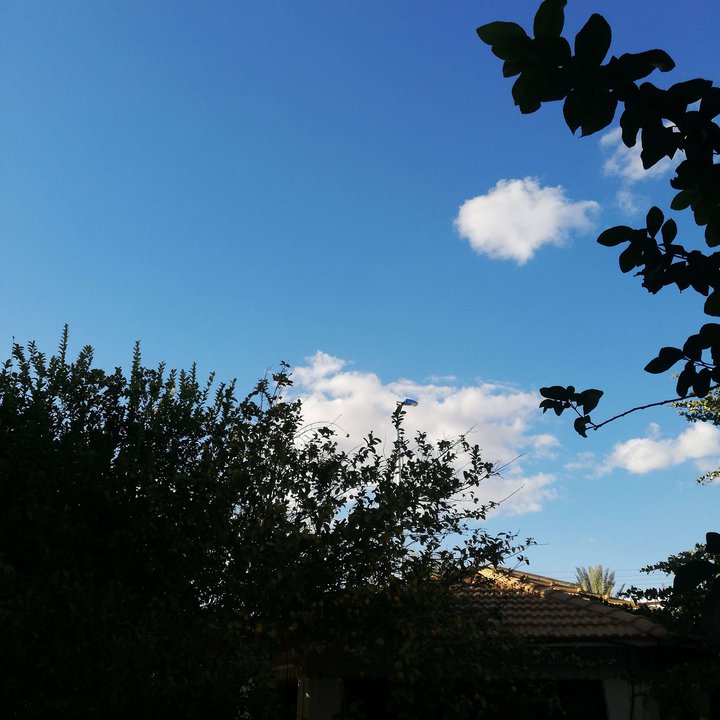 مشاركاتي في أنت الراصد