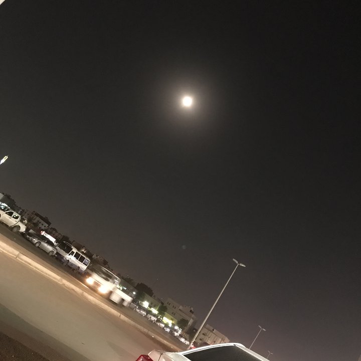 مشاركاتي في أنت الراصد