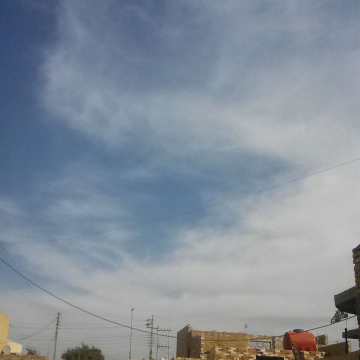 مشاركاتي في أنت الراصد